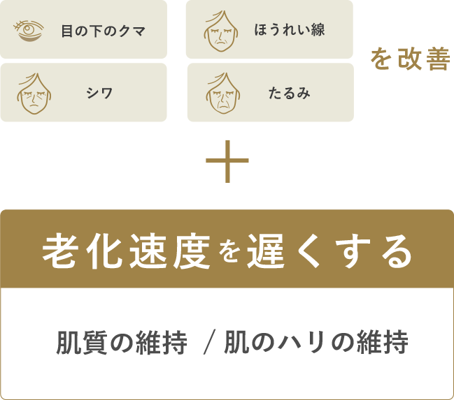 目の下のクマ、ほうれい線、シワ、たるみを改善 + 廊下速度を遅くする　肌質、肌のハリの維持