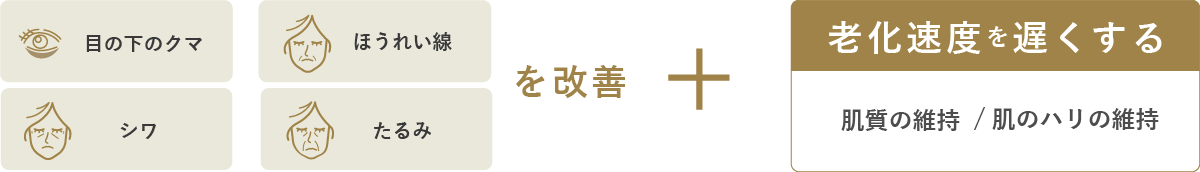 目の下のクマ、ほうれい線、シワ、たるみを改善 + 廊下速度を遅くする　肌質、肌のハリの維持