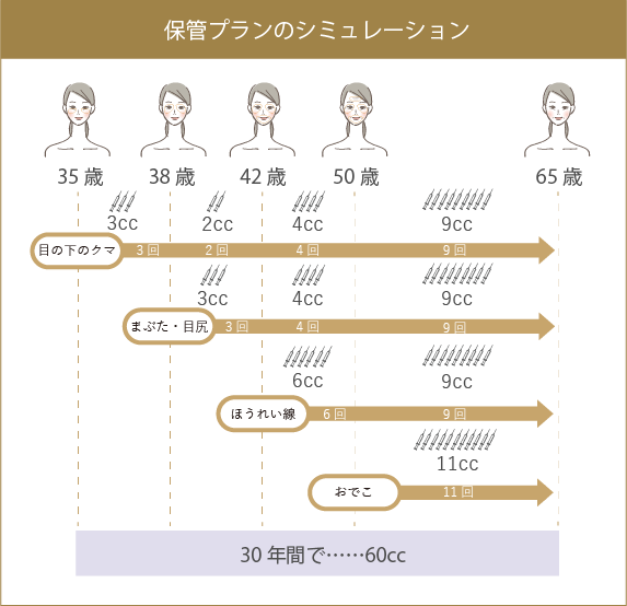 保管プランのシミュレーションの図