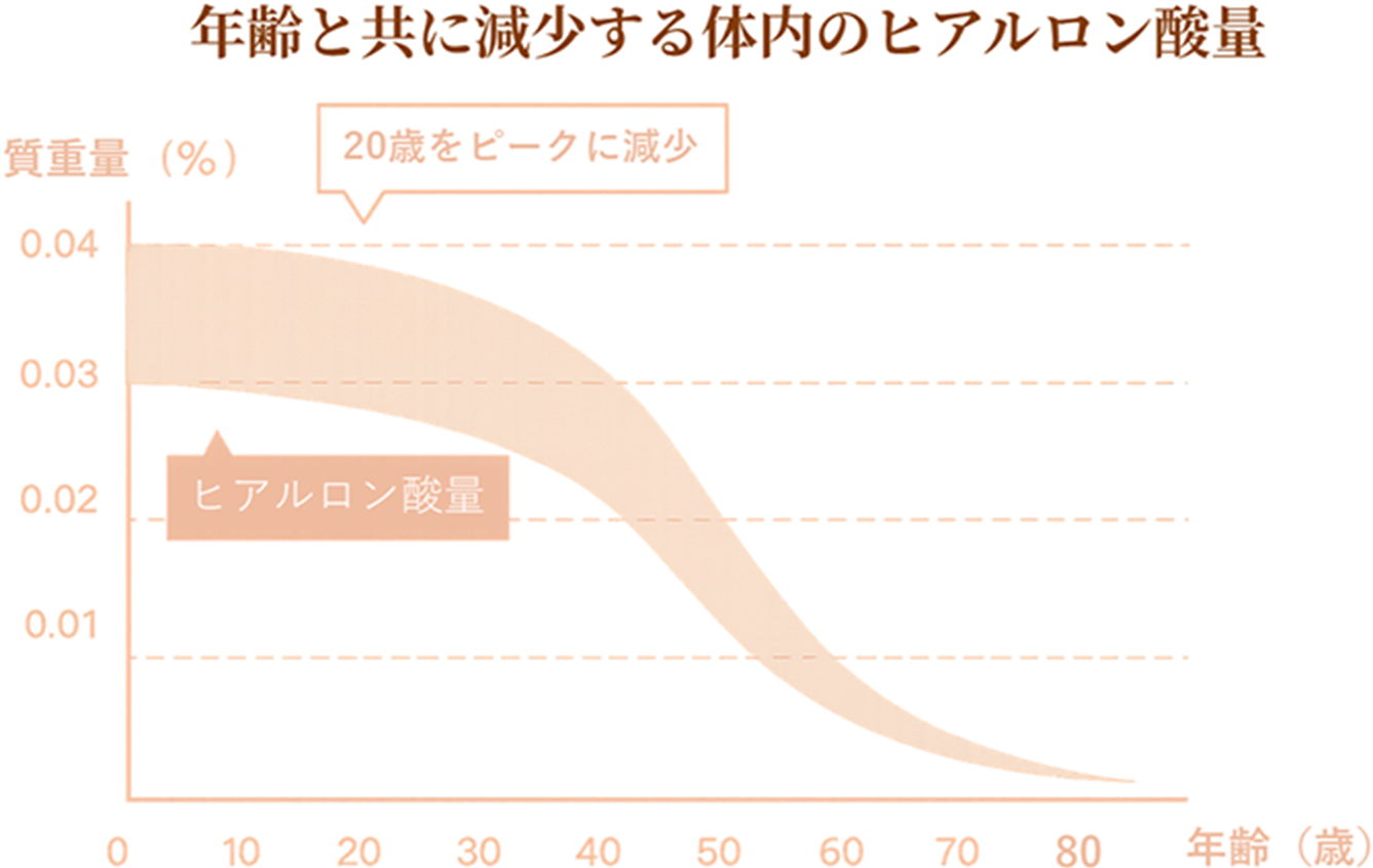 年齢と共に減少する体内のヒアルロン酸量