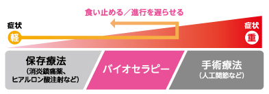 脂肪由来幹細胞によるバイオセラピー