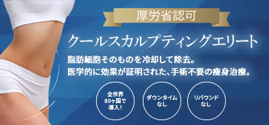 クールスカルプティングエリート
