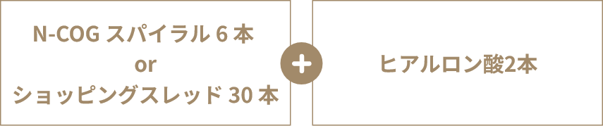 N-COG スパイラル 6 本 or ショッピングスレッド 30 本
