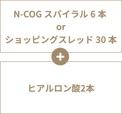 N-COG スパイラル 6 本 or ショッピングスレッド 30 本