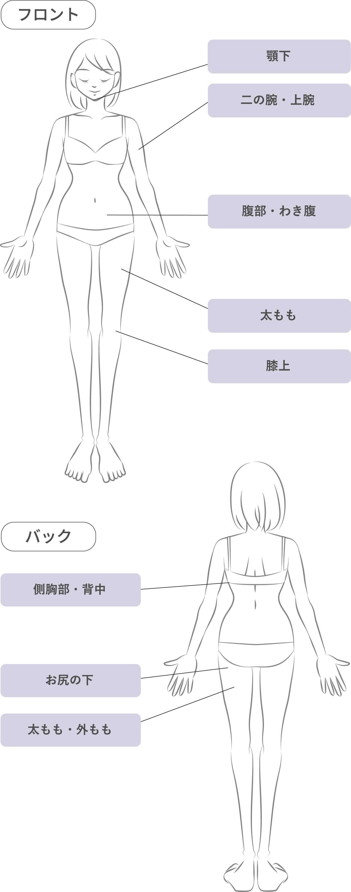 フロント：顎下、二の腕・上腕、腹部・わき腹、太もも、膝上｜バック：側胸部・背中、お尻の下、太もも・外もも