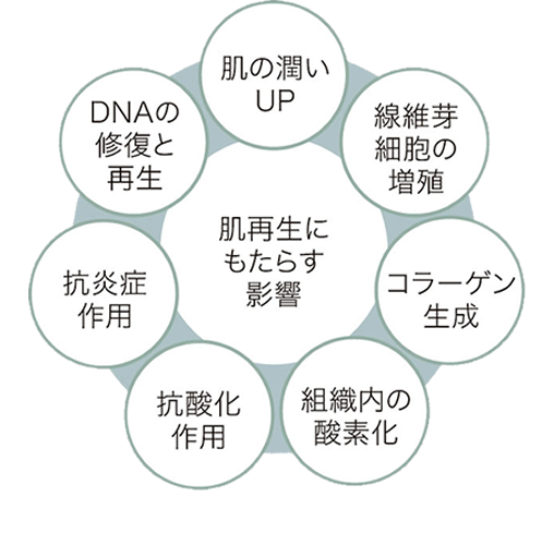 プルリアル(PLURYAL)