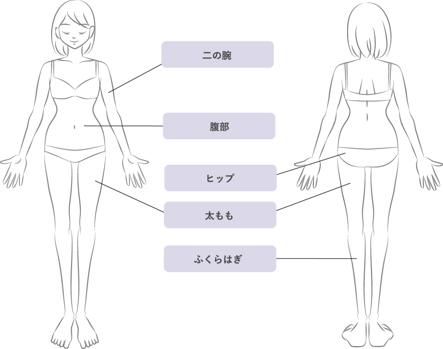 二の腕、腹部、ヒップ、太もも、ふくらはぎ