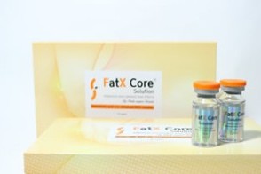 Fat X Core