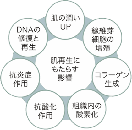 プルリアル デンシフィア シリーズとは？