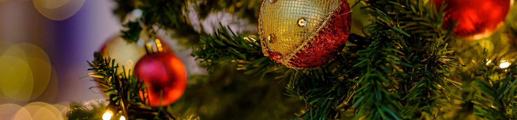 年末クリスマス号