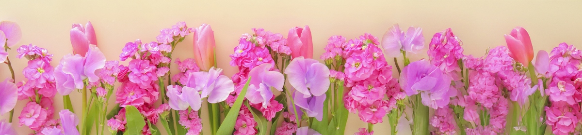 YUMI BEAUTY DERMATOLOGY CLINIC PRESS