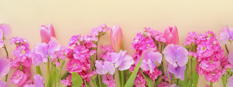 YUMI BEAUTY DERMATOLOGY CLINIC PRESS